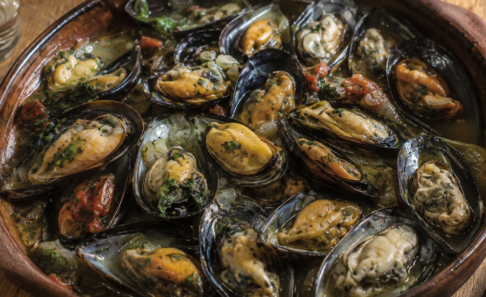 Mejillones y Cholgas Patagónicas