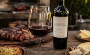 Vino Malbec de Mendoza