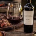 Vino Malbec de Mendoza Receta
